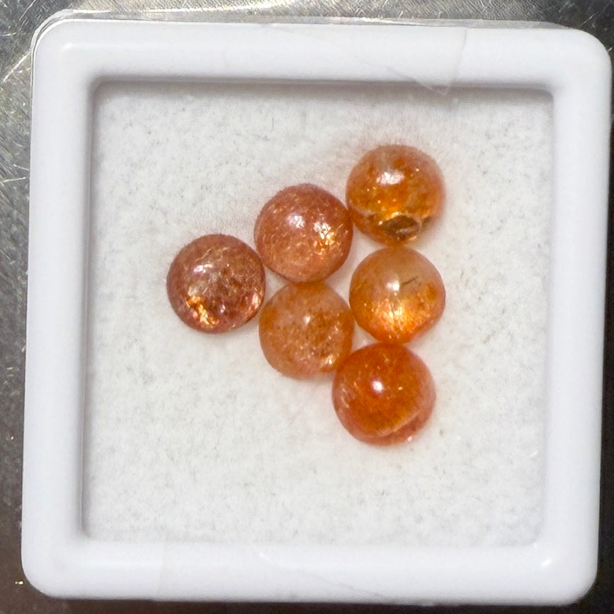 Cabs : Sunstone, 5mm, 6 pieces, petite display box