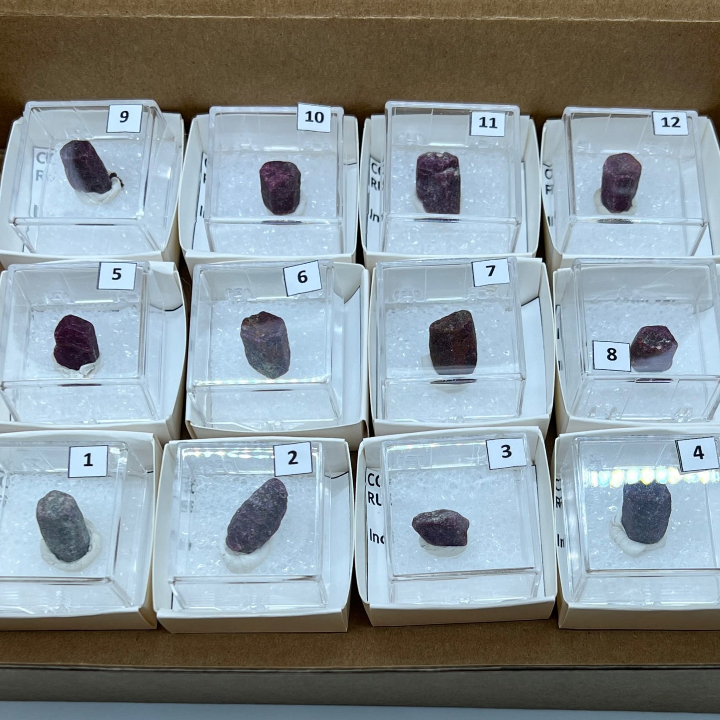 Bulk : Crystal : Mounted : 12 Pieces - Ruby (Corundum) crystal specimens in acrylic boxes