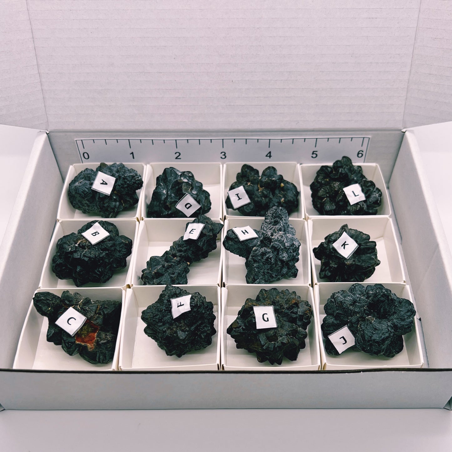 Bulk : Prophecy Stones from Eqypt, 12 Pieces