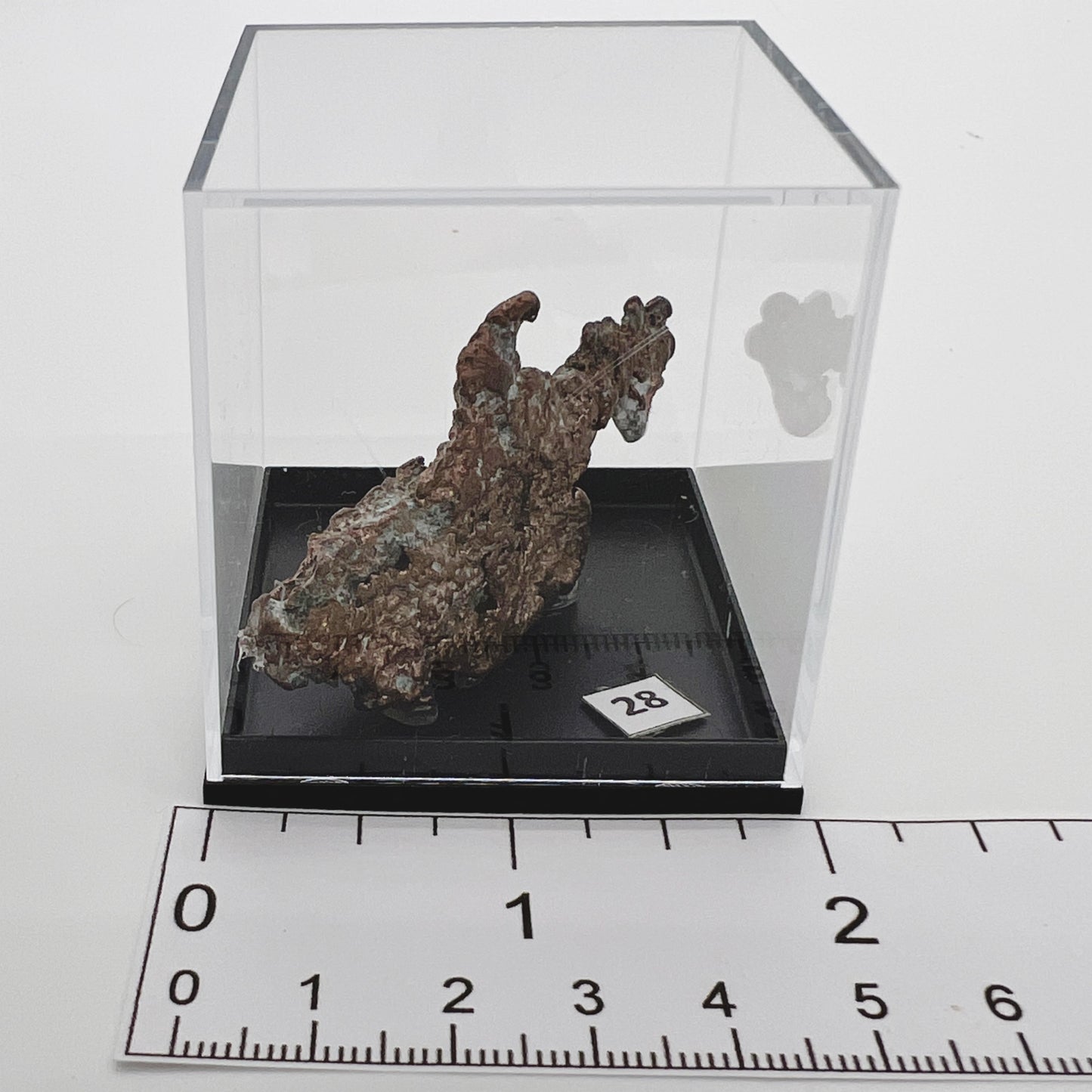 Crystal : Mounted : Michigan Float Copper Display Specimen