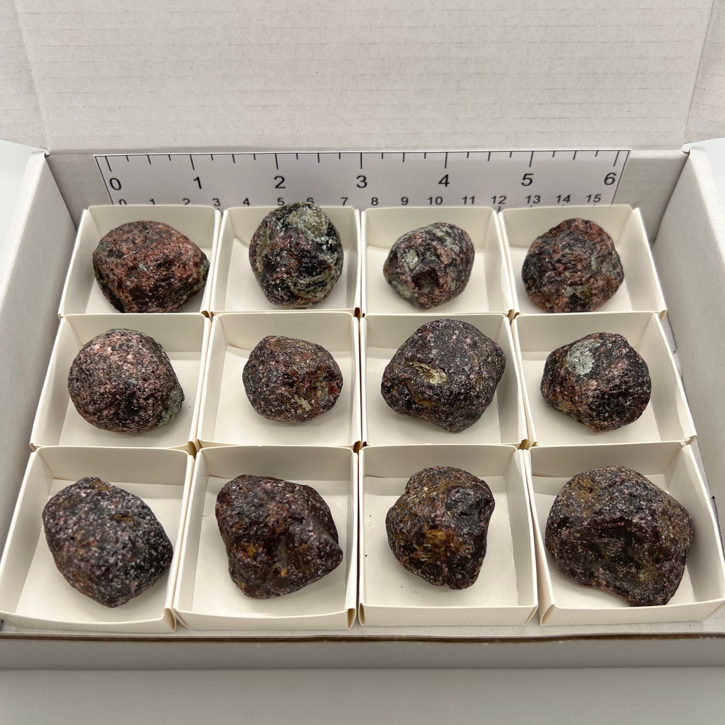 Bulk : Rough : Almandine Garnets, 12 Pieces