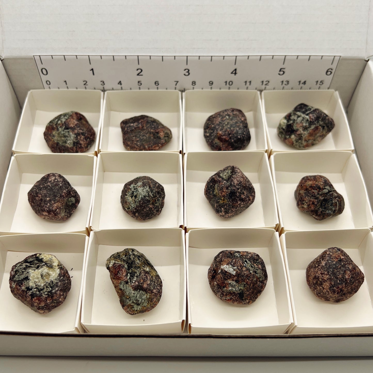 Bulk : Rough : Almandine Garnets, 12 Pieces
