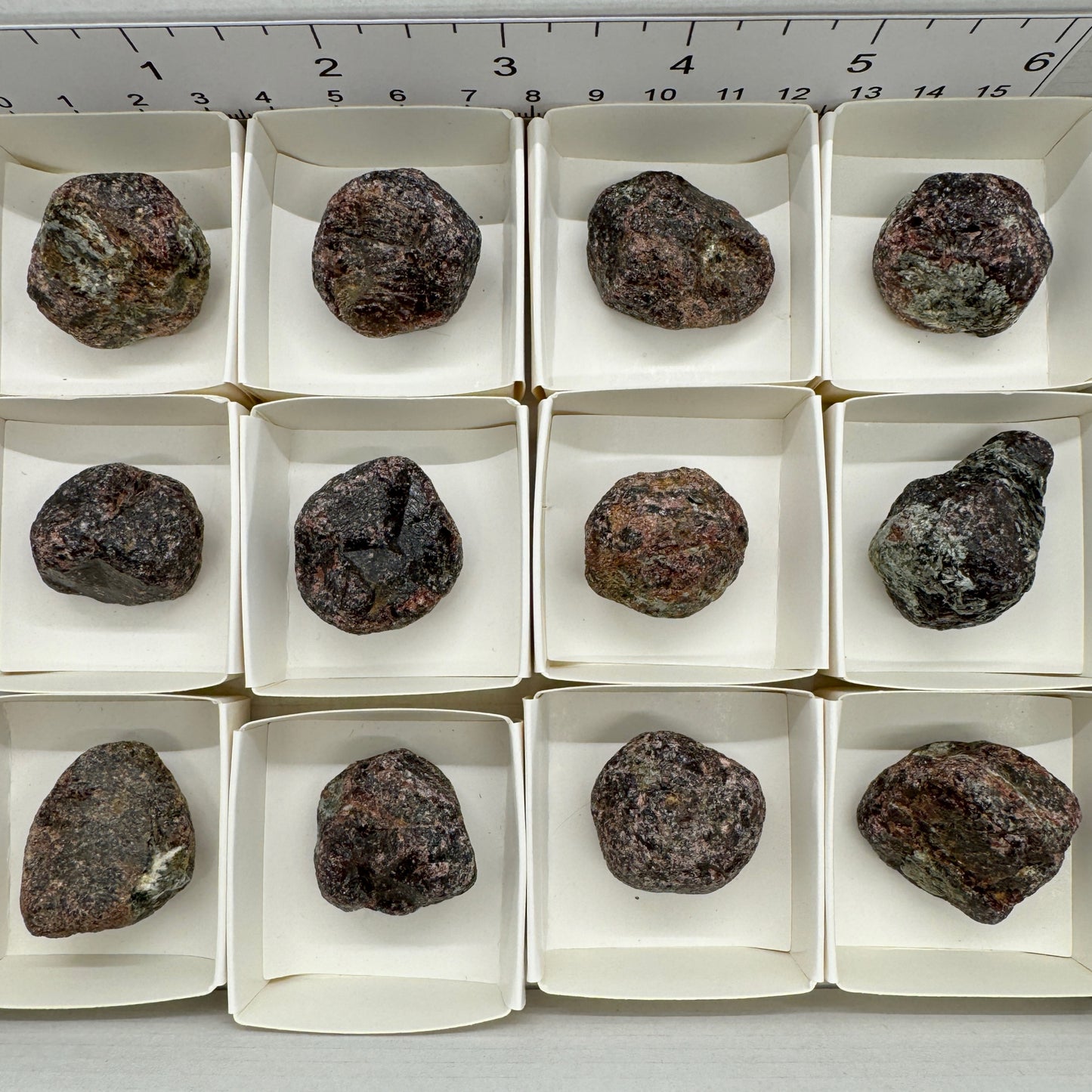 Bulk : Rough : Almandine Garnets, 12 Pieces
