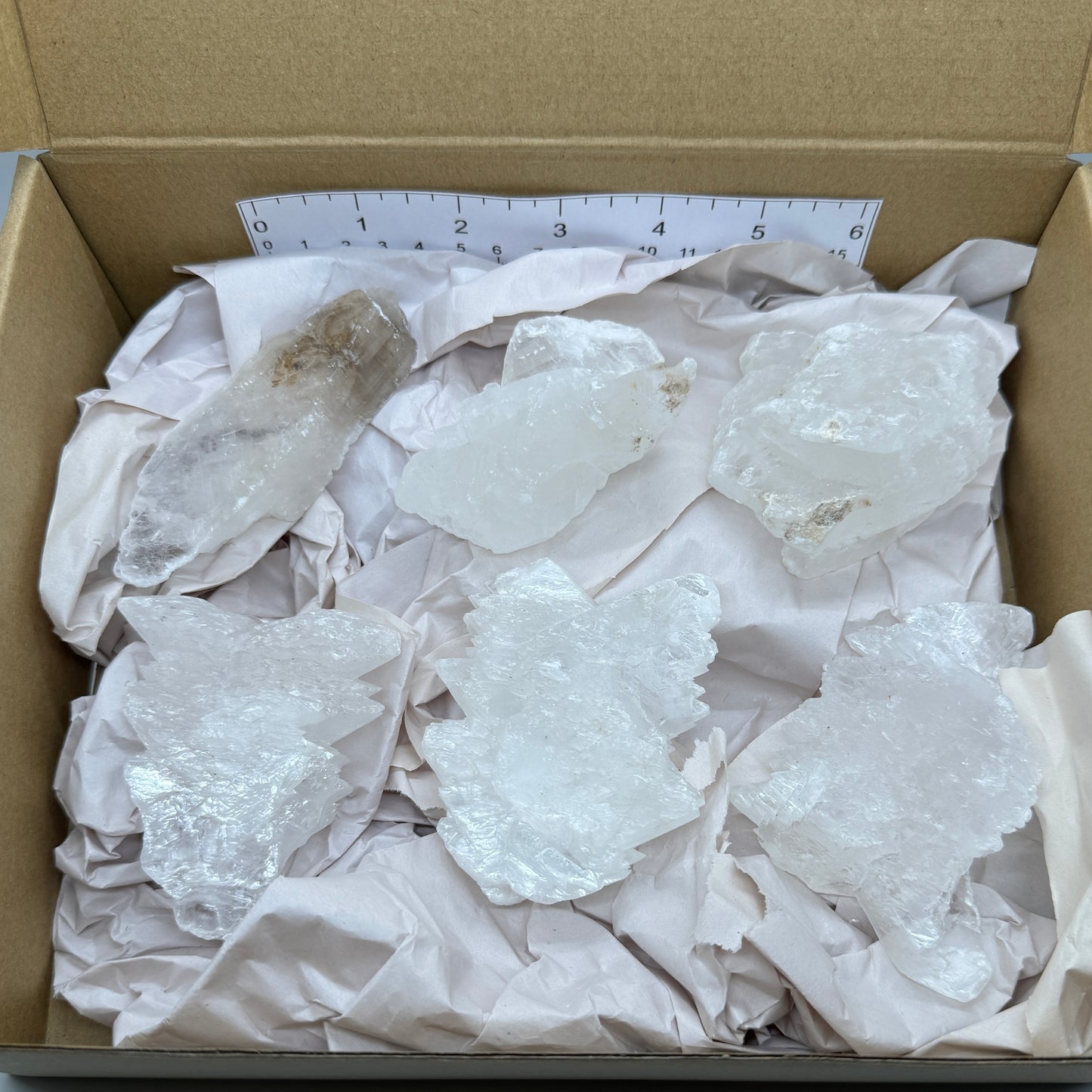 6 piece box of Selenite Fishtails