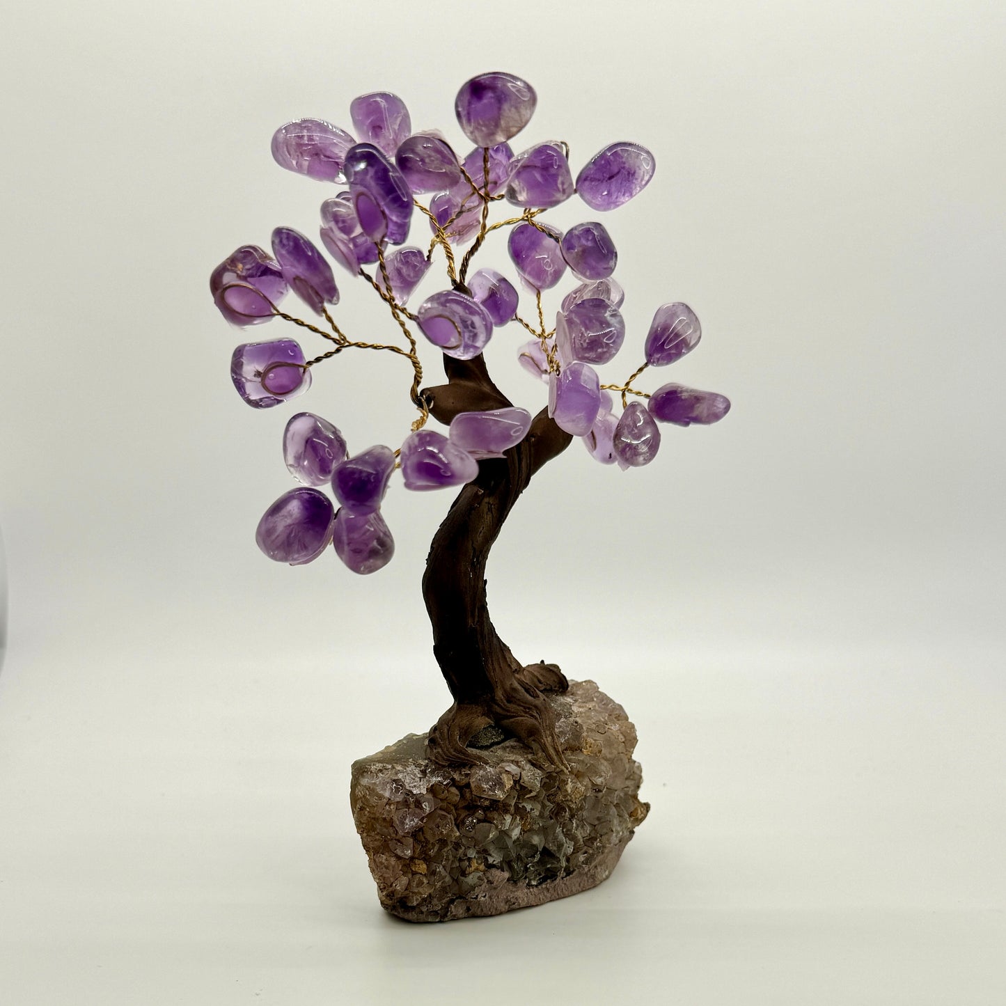 Tree : Amethyst on Amethyst base, 7.5"
