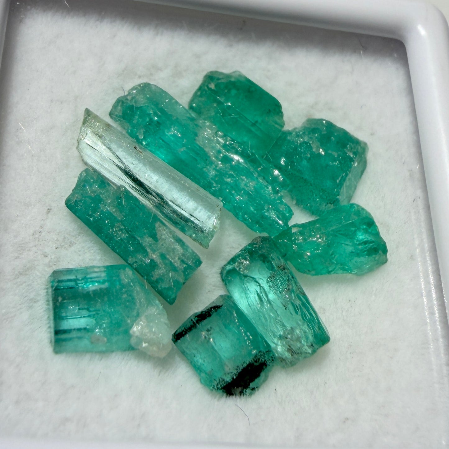 Crystal : Emerald Crystals in Display Box, 9 pieces, Colombia, petite display box