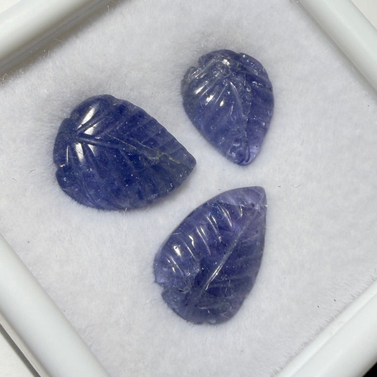 Carved : Tanzanite Leaves, 3 pieces, petite display box