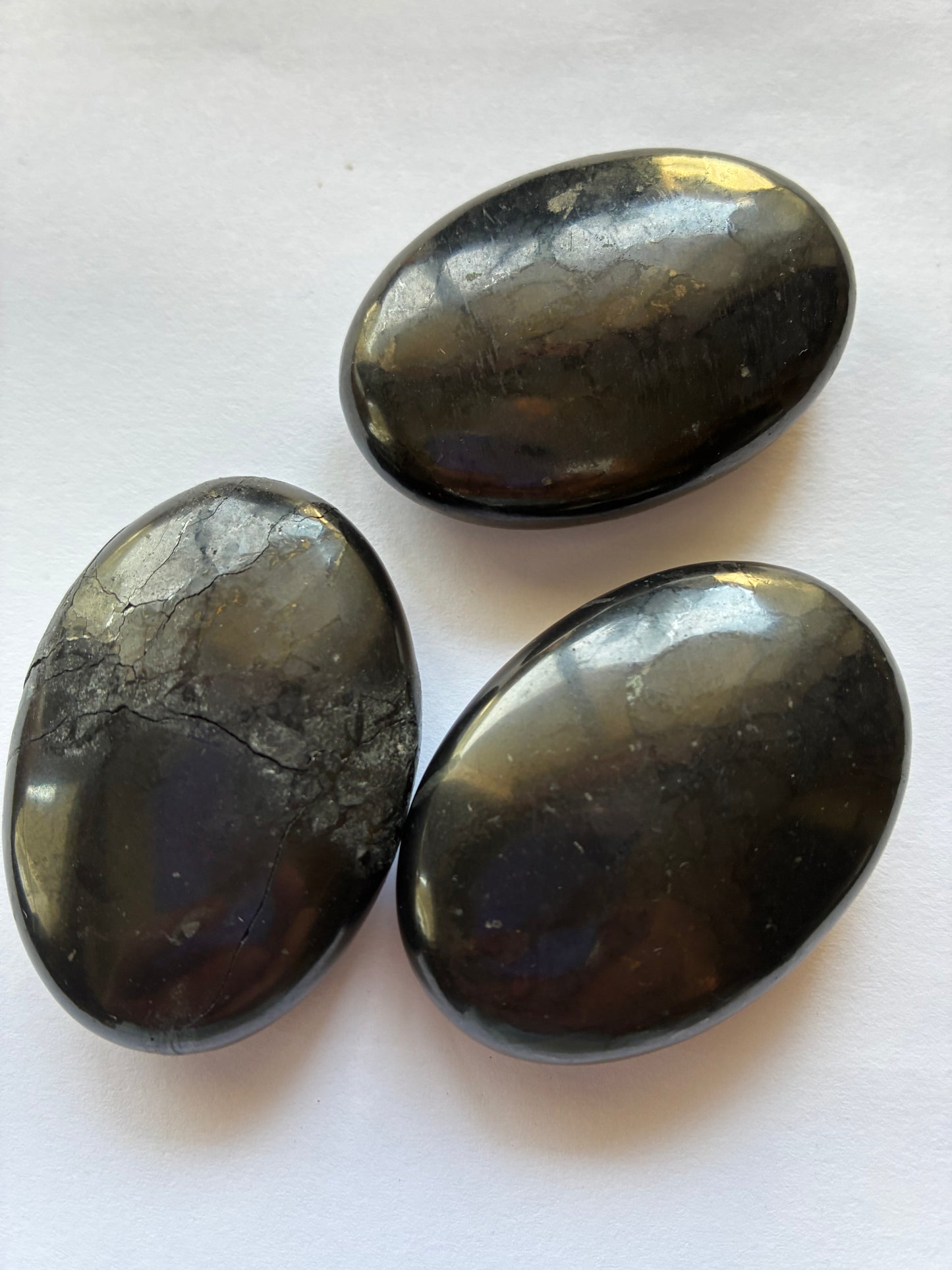 Palmstone : Shungite