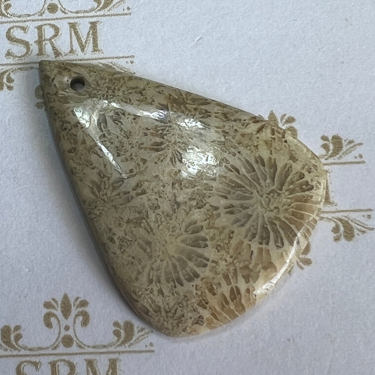 Pendant : Fossil Coral Teardrop