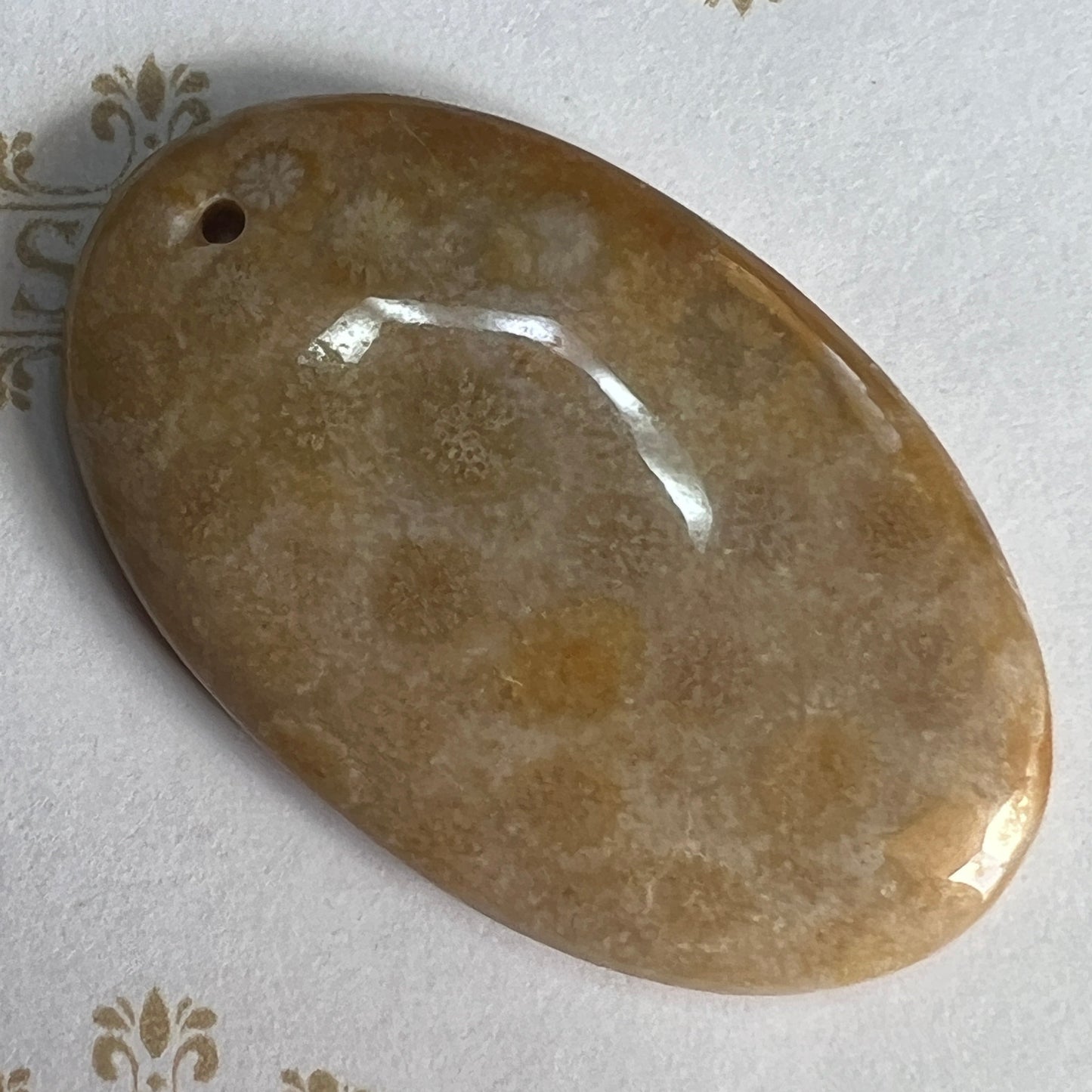 Pendant : Fossil Coral Oval