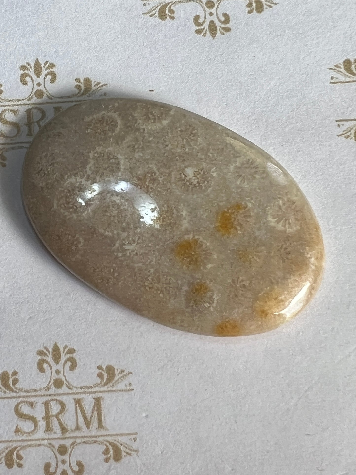 Cab: Fossil Coral