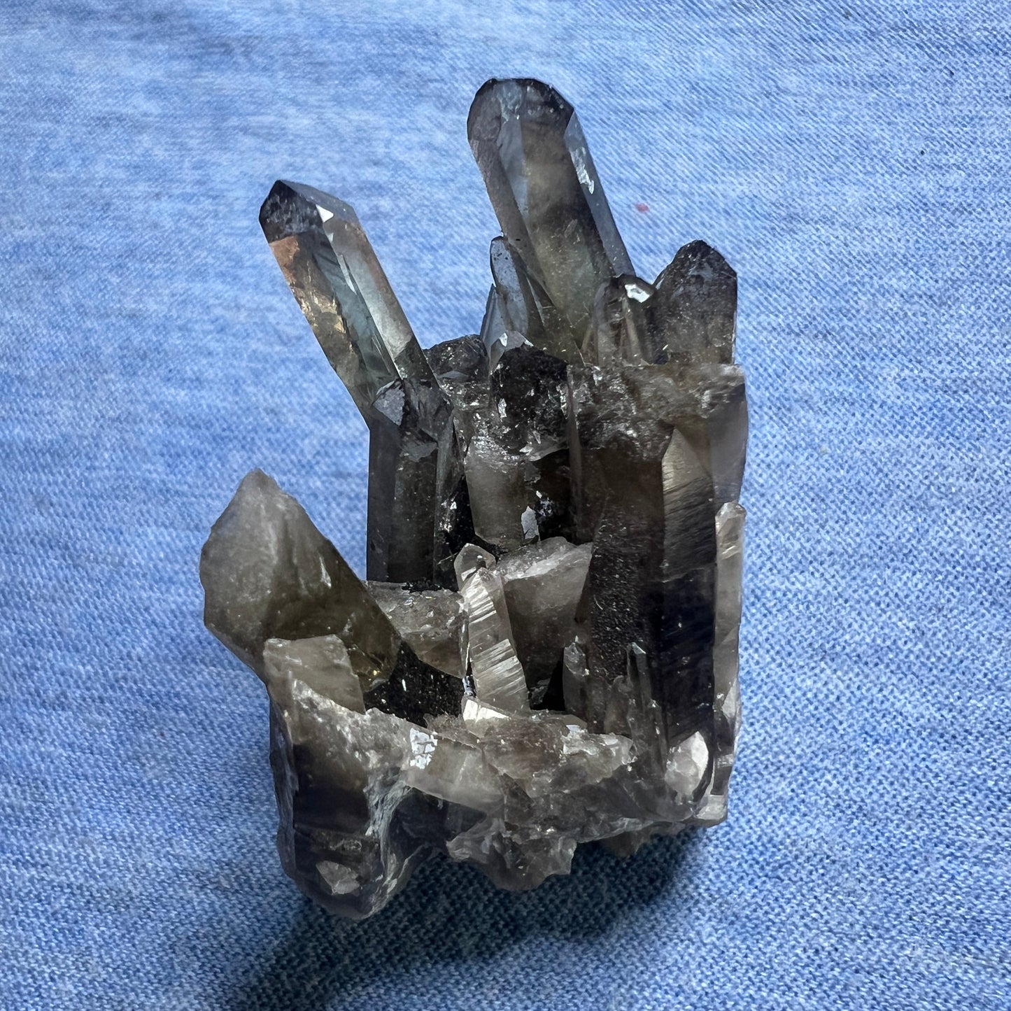 Cluster : Smoky Quartz Seed. Choice!