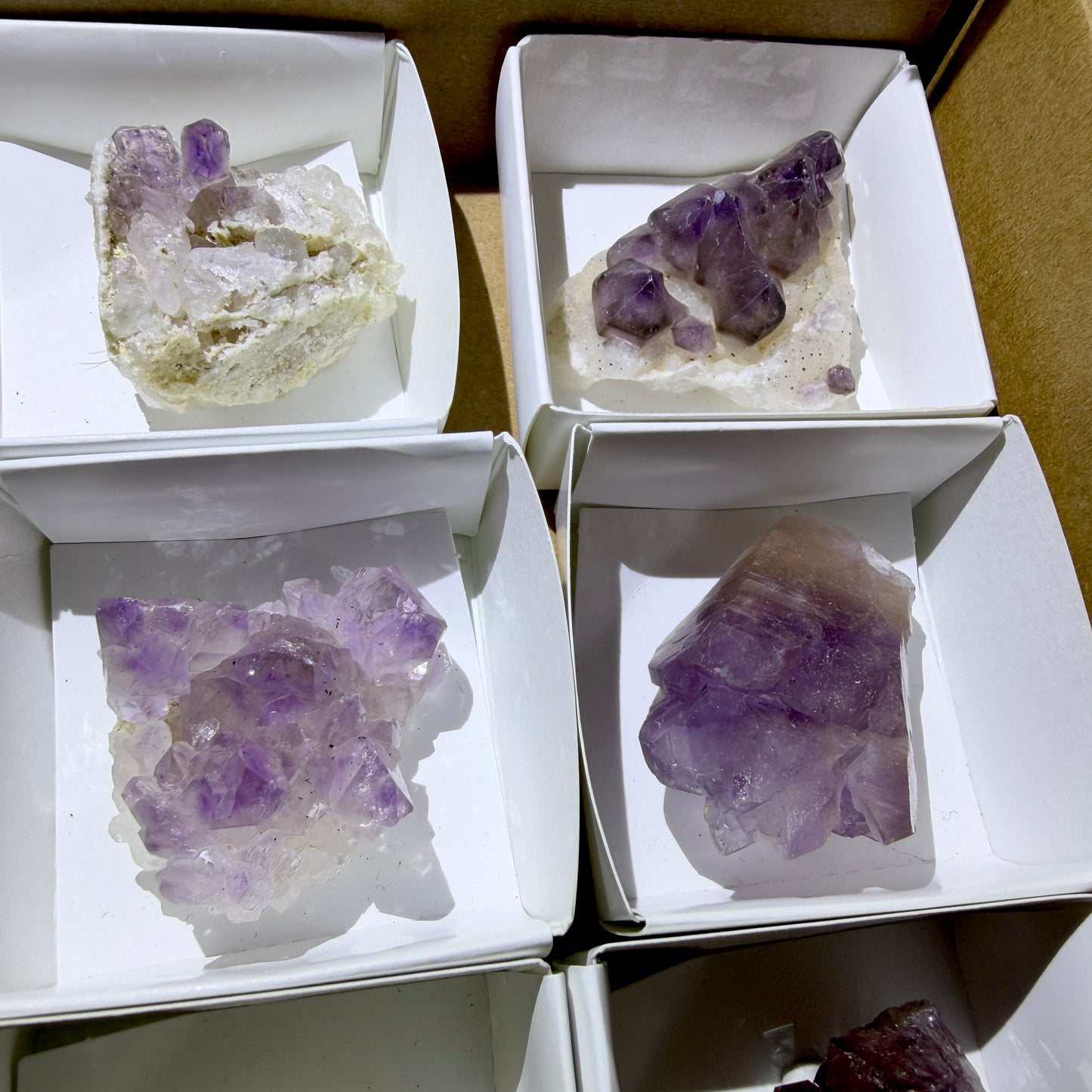 Bulk : Rough : Cactus Amethyst, 8 Pieces, Madagascar
