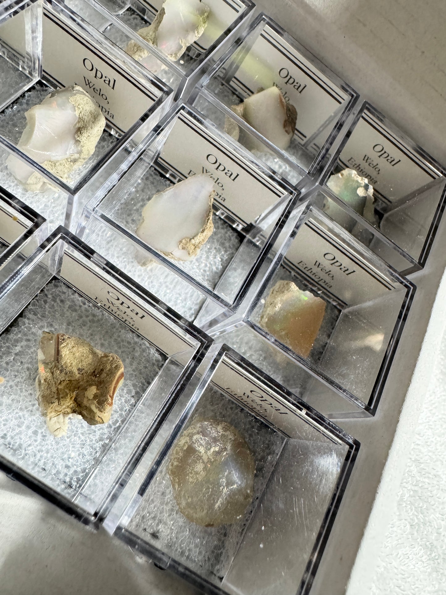Bulk : Mounted : Welo Opals, Ethiopia, 15 Pieces