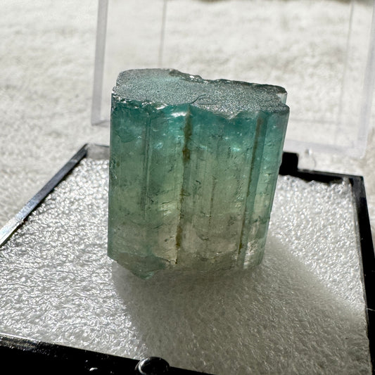 Crystal : Mounted : Watermelon Tourmaline in 2” Acrylic Box, 118ct