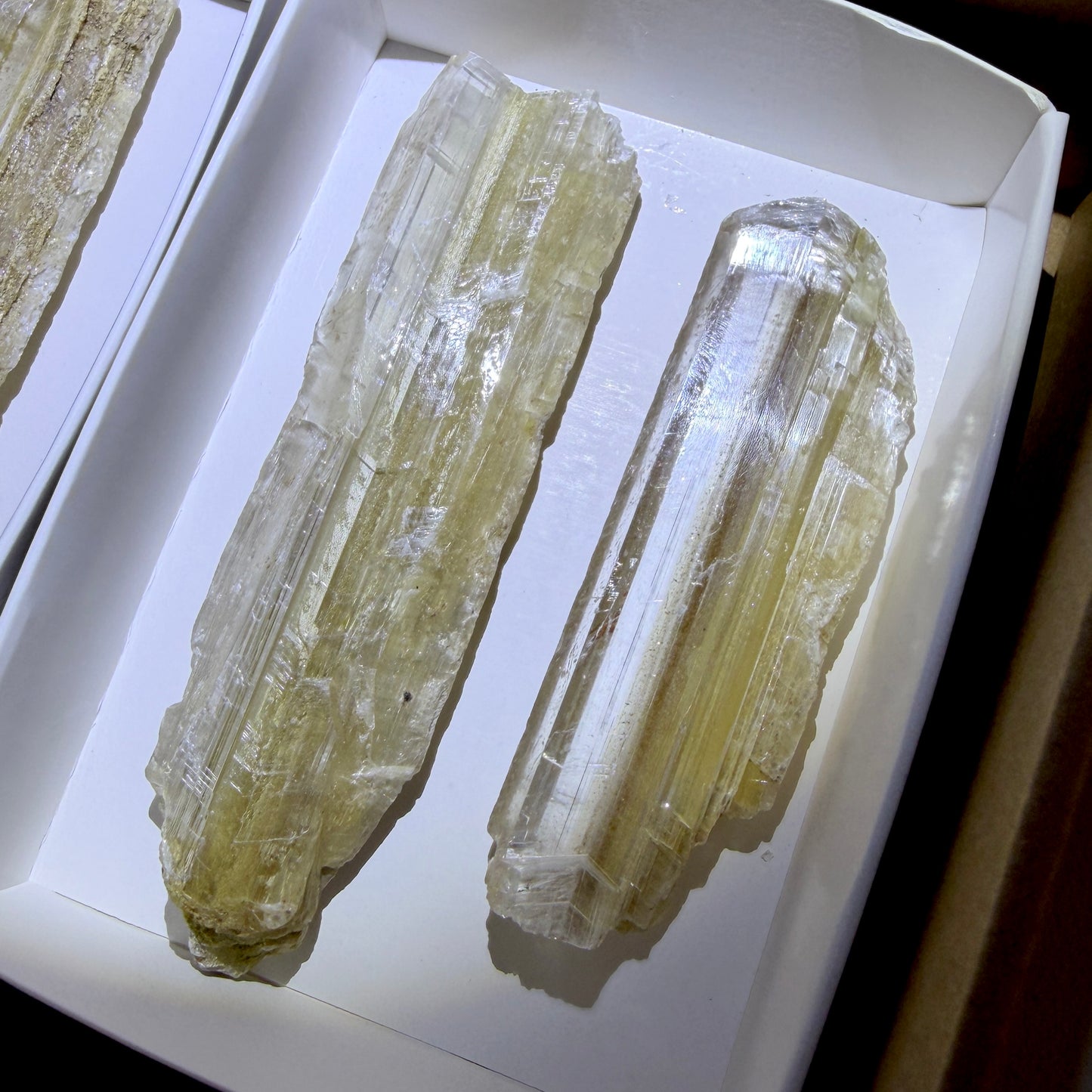 Bulk : 4 piece box of Phantom Selenite Blades