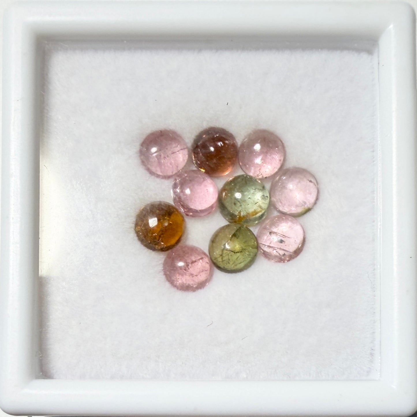 Cabs : Multi-colored Tourmaline, 5mm, petite display box