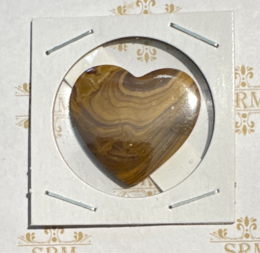 Cab : Picture Jasper, 30x31x3, 31ct