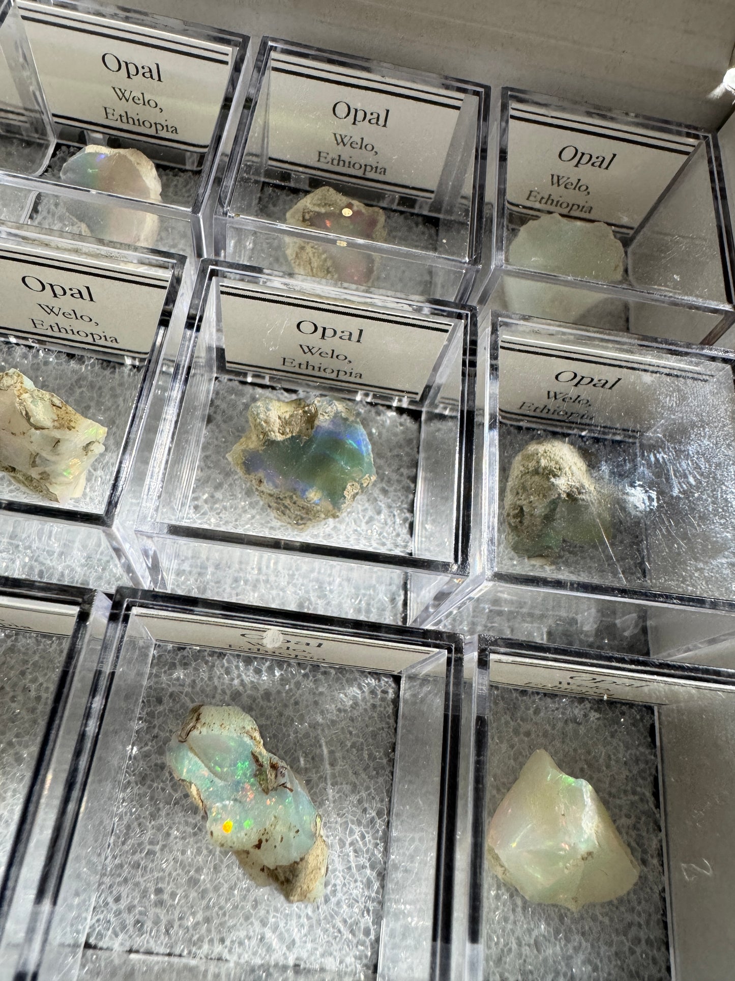 Bulk : Mounted : Welo Opals, Ethiopia, 15 Pieces