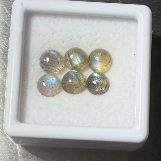 Cabs : Labradorite, 5mm, 6 pieces, petite display box