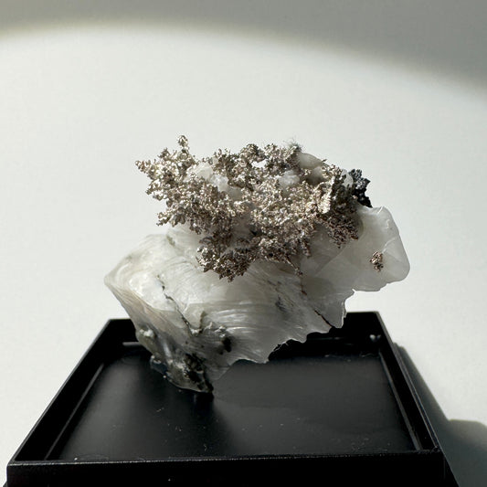 Crystal : Mounted : Native Silver on Calcite Display Specimen "Moptop"