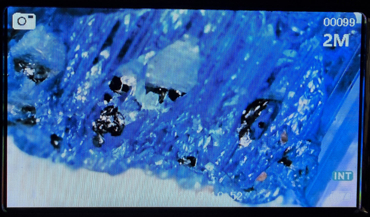 Crystals : Rough : Tanzanite, 1.39gm, Tanzania