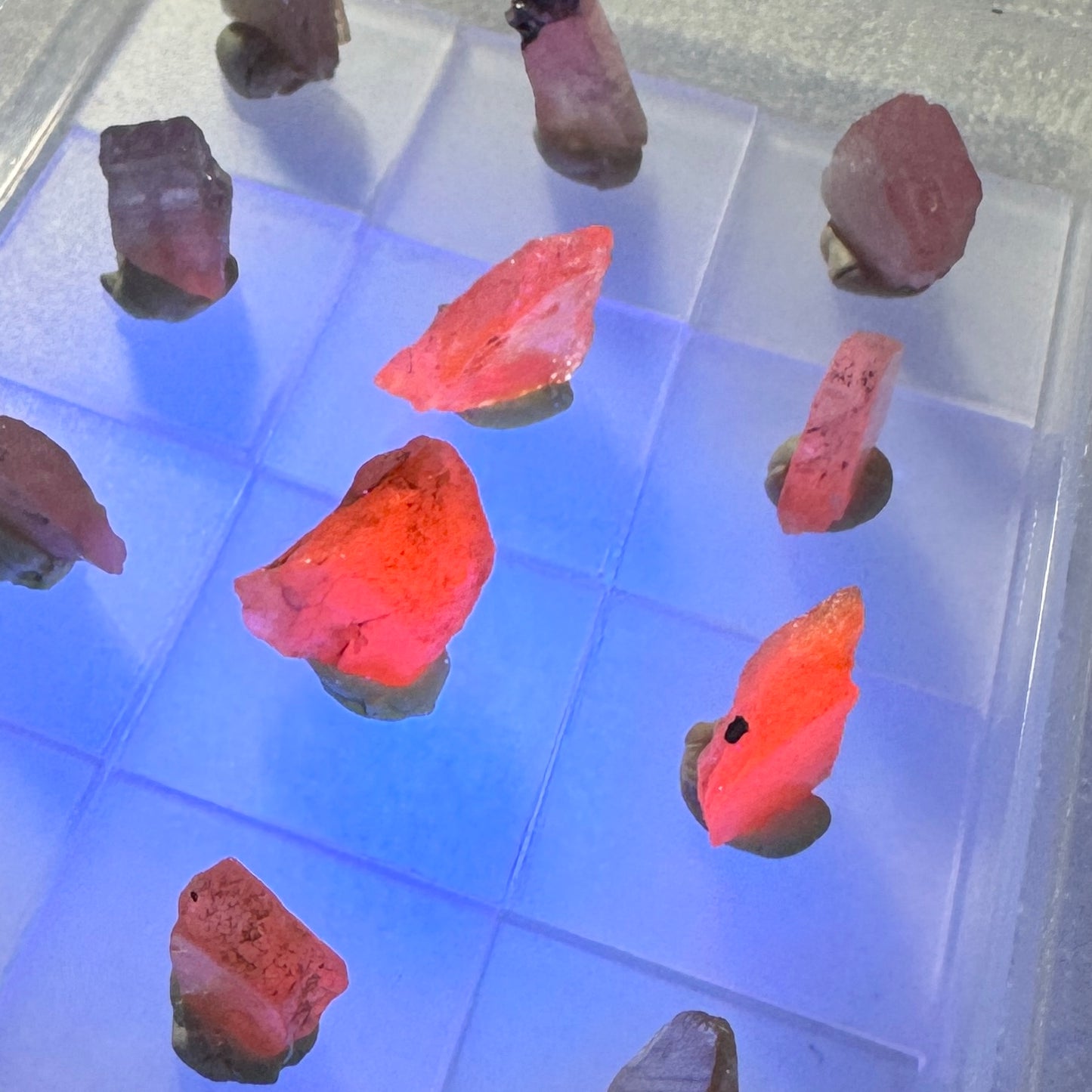 Bulk : Rough :  Mangano Axinite, 12 pieces, brilliant UV