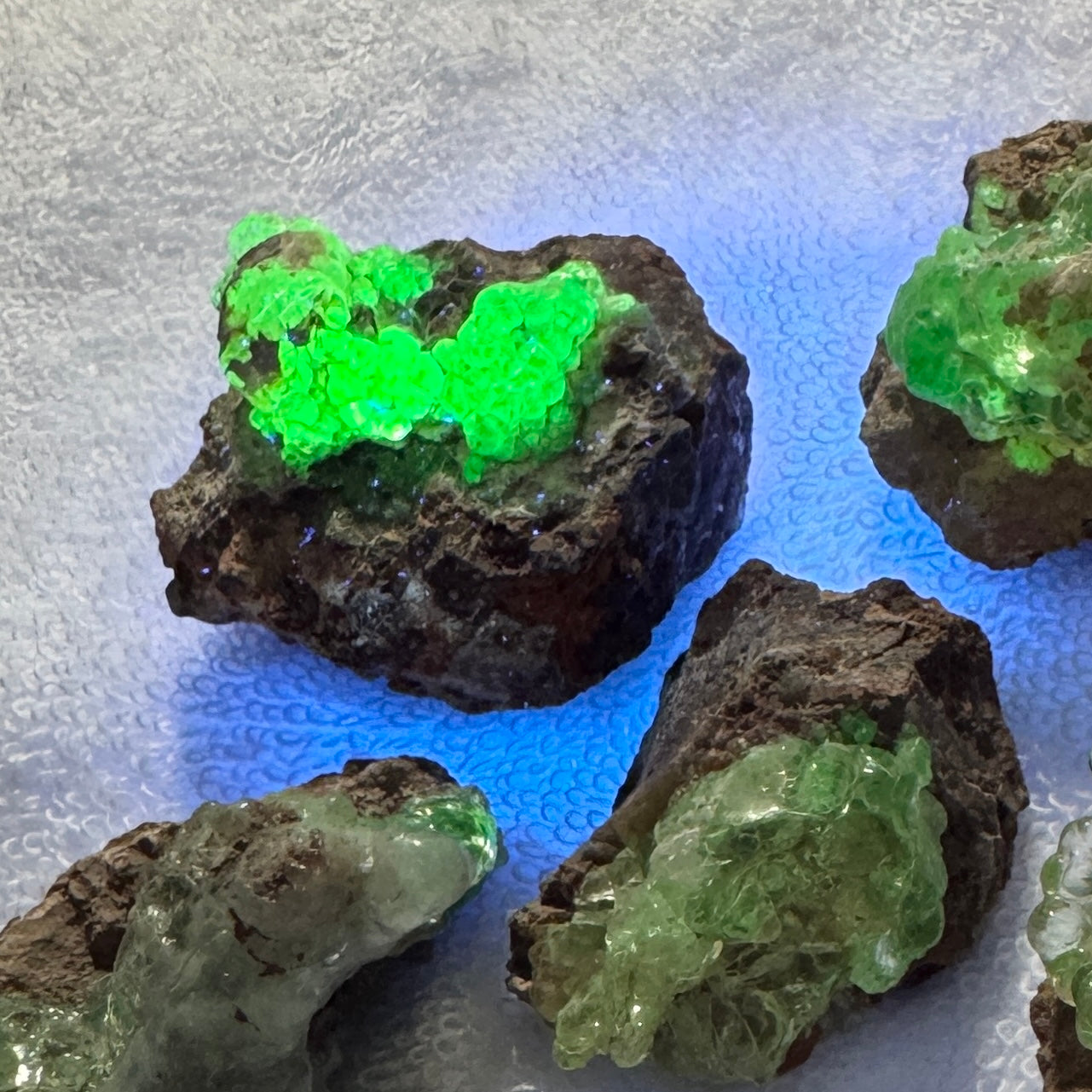 Bulk : Rough : Hyalite Opal on Matrix, 6 pieces, brilliant UV