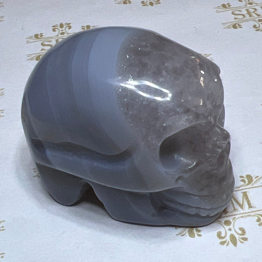 Skull : Agate Geode : Blue Lace