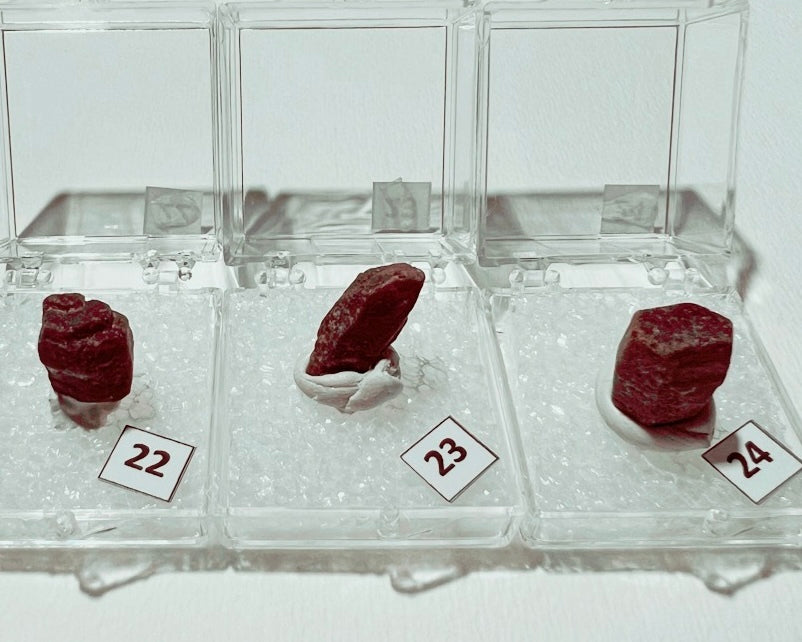 Ruby (Corundum) specimens in boxes