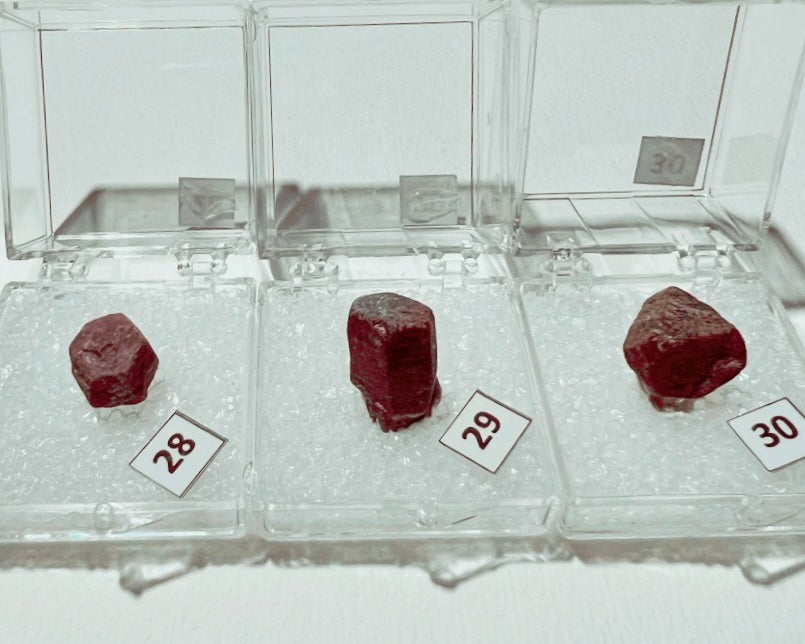 Ruby (Corundum) specimens in boxes