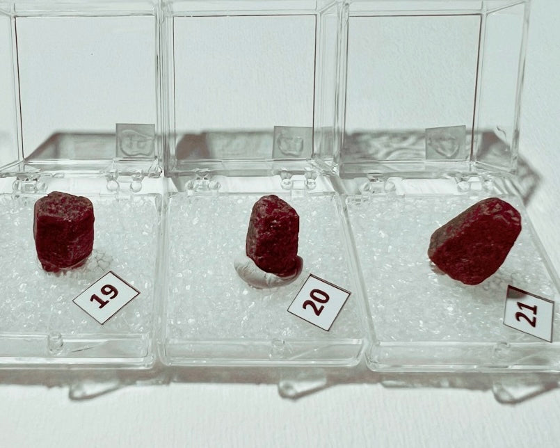 Ruby (Corundum) specimens in boxes