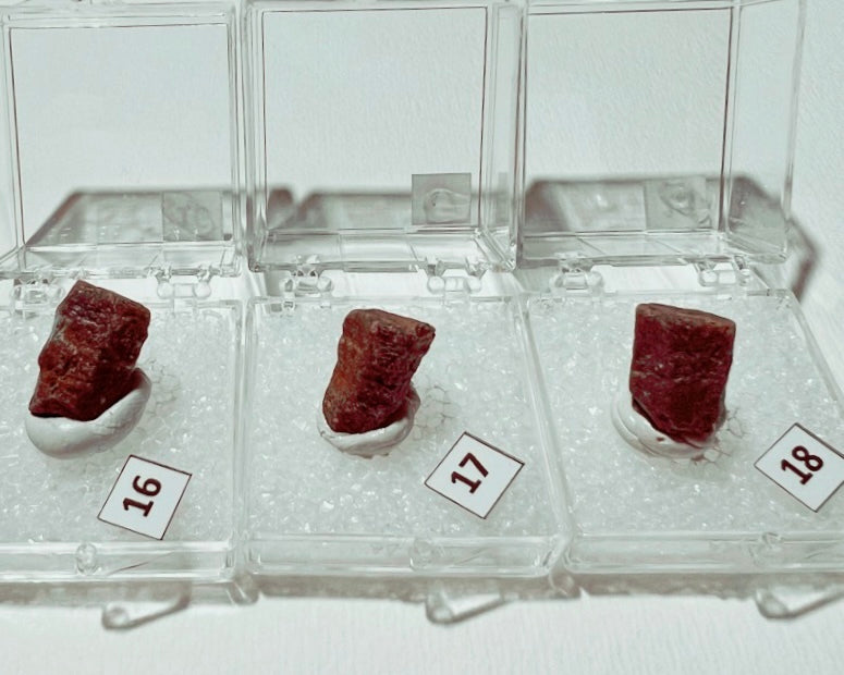 Ruby (Corundum) specimens in boxes