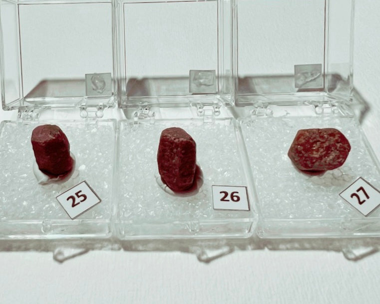 Ruby (Corundum) specimens in boxes