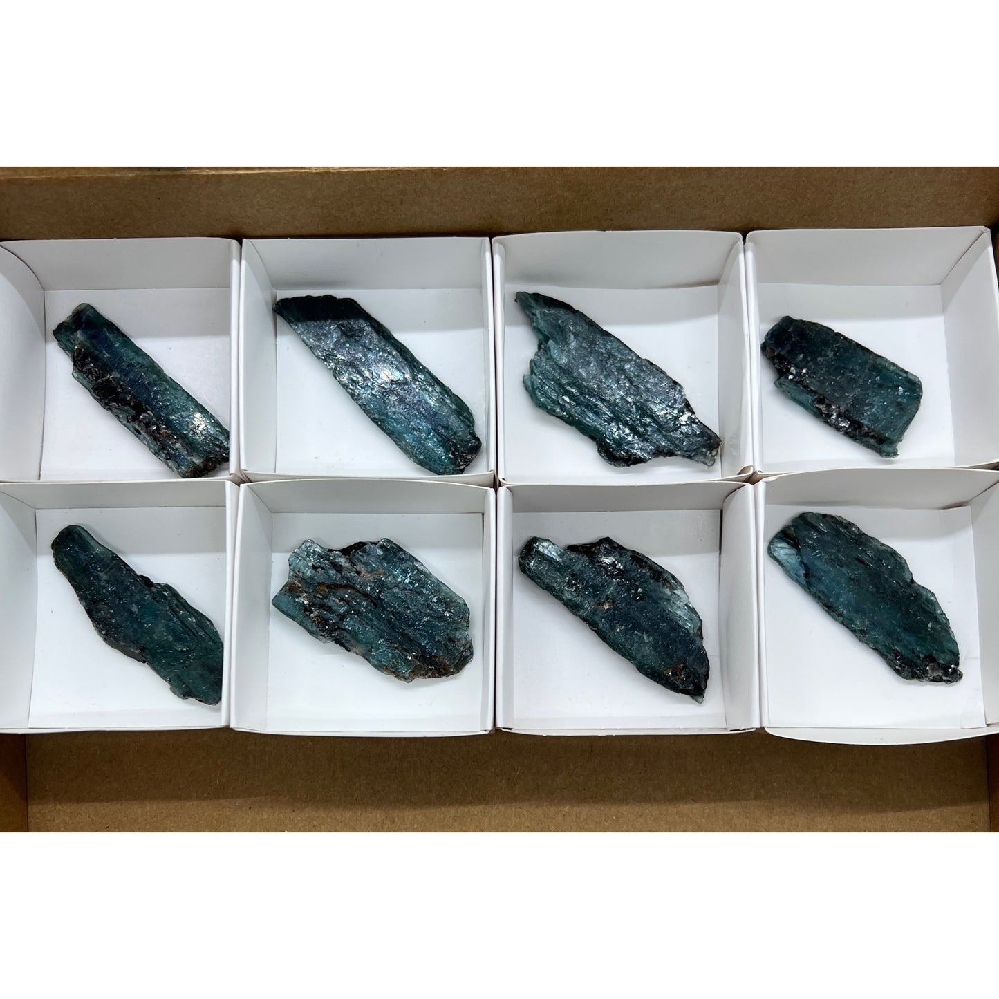 8 Pieces - Ocean Green Kyanite (box C)