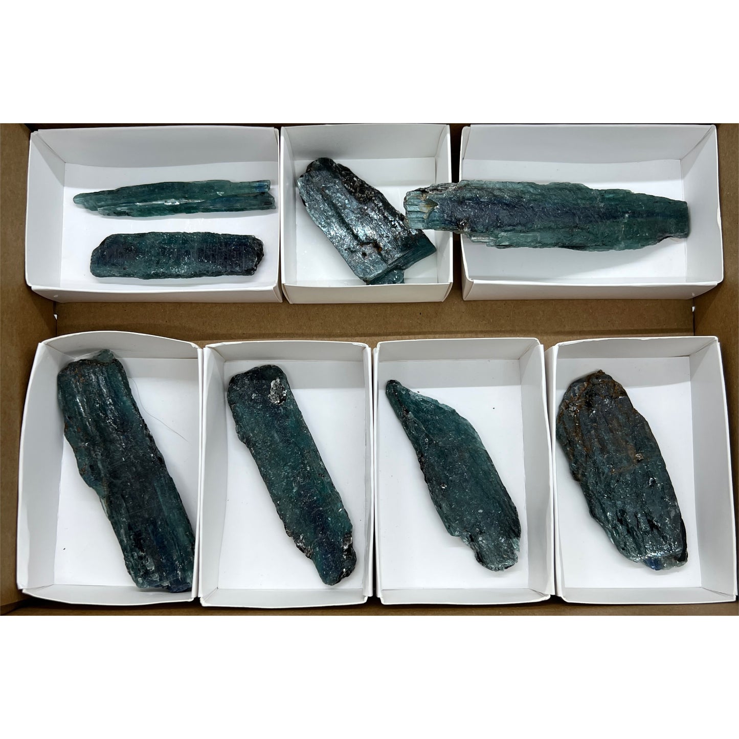 8 Pieces - Ocean Green Kyanite (box F)