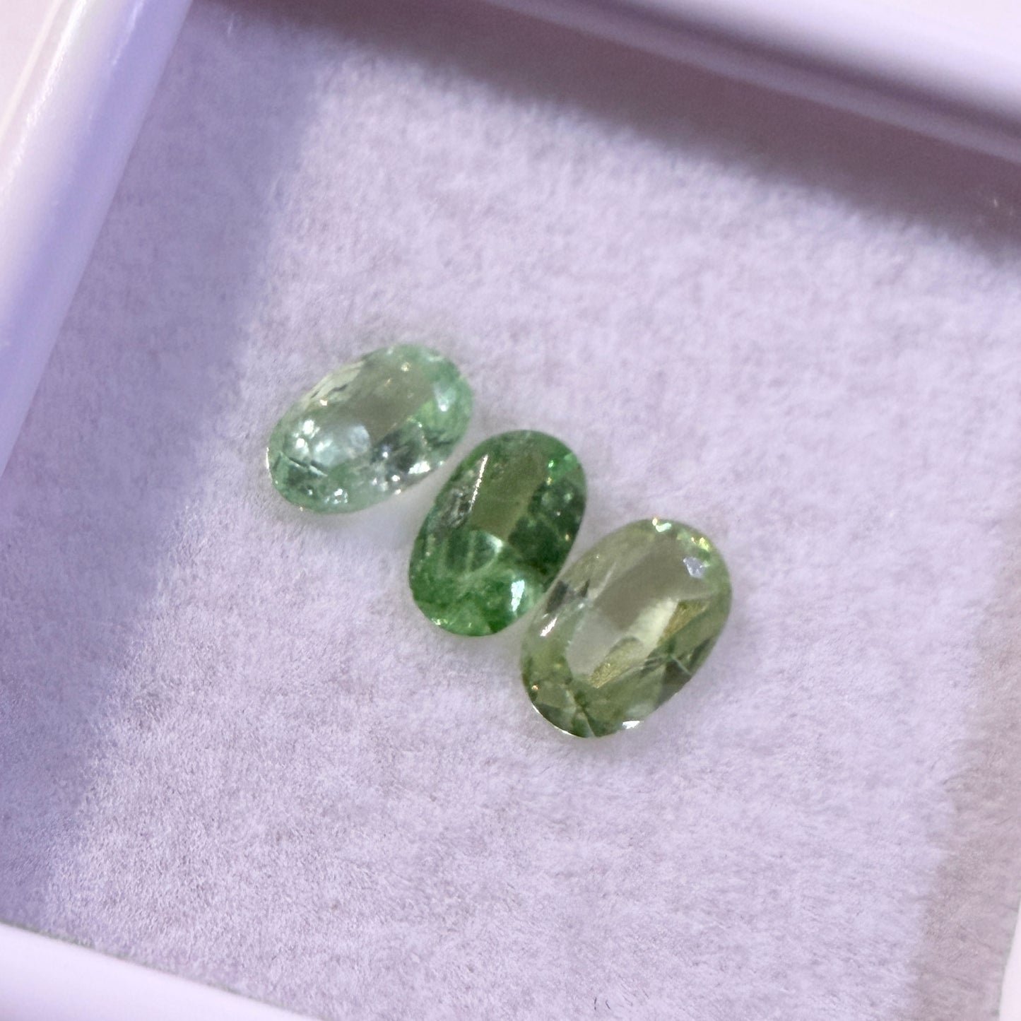 Faceted : Tsavorite Garnets, 3 pieces, petite display box