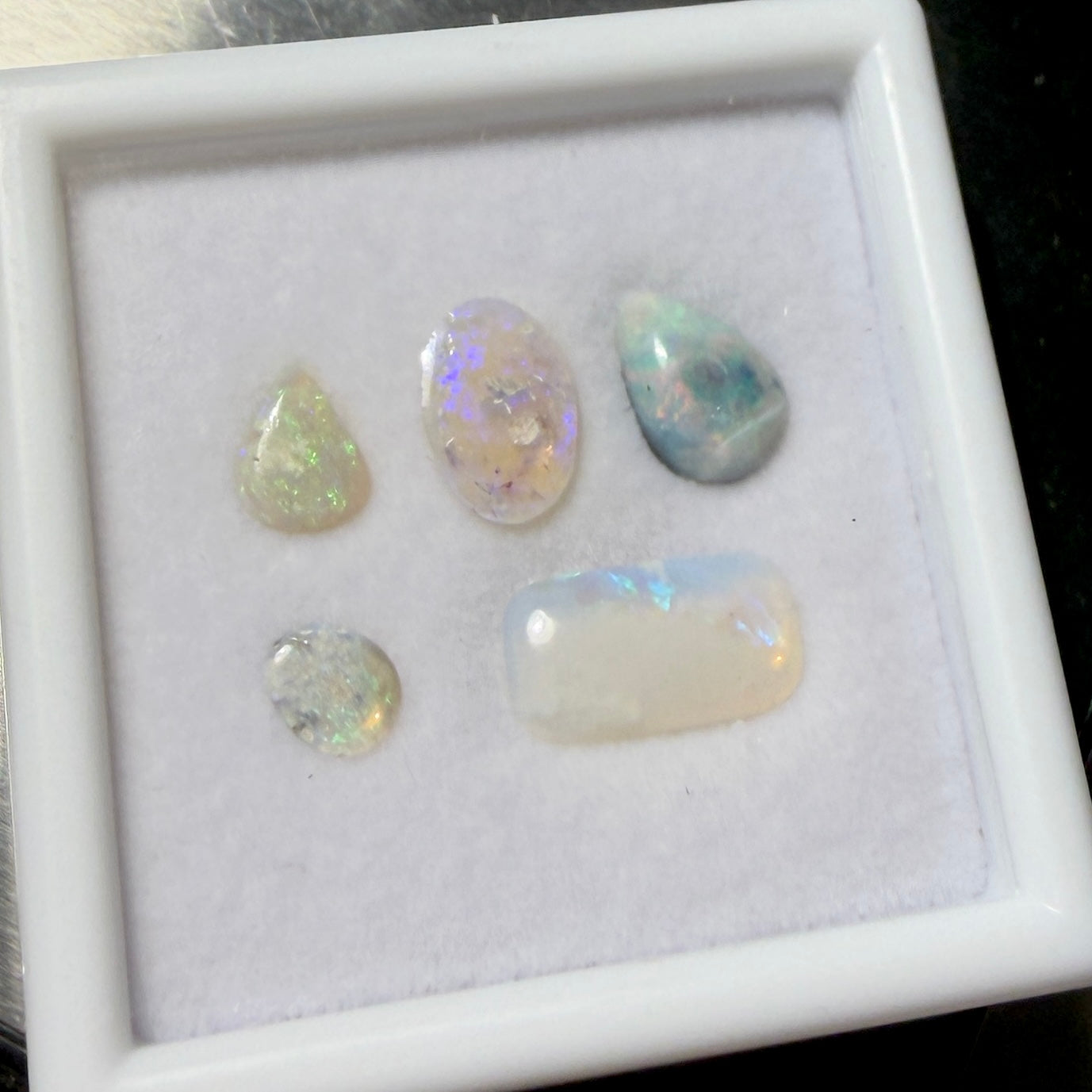Cabs : Australian Opals, 5 pieces, petite display box