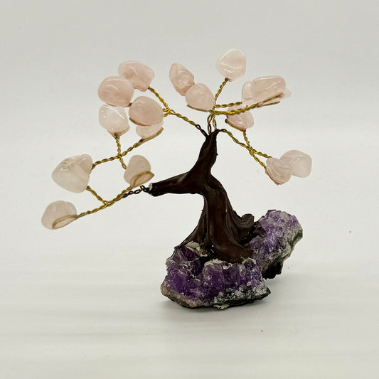 Rose Quartz Tree on Amethyst base, 4"