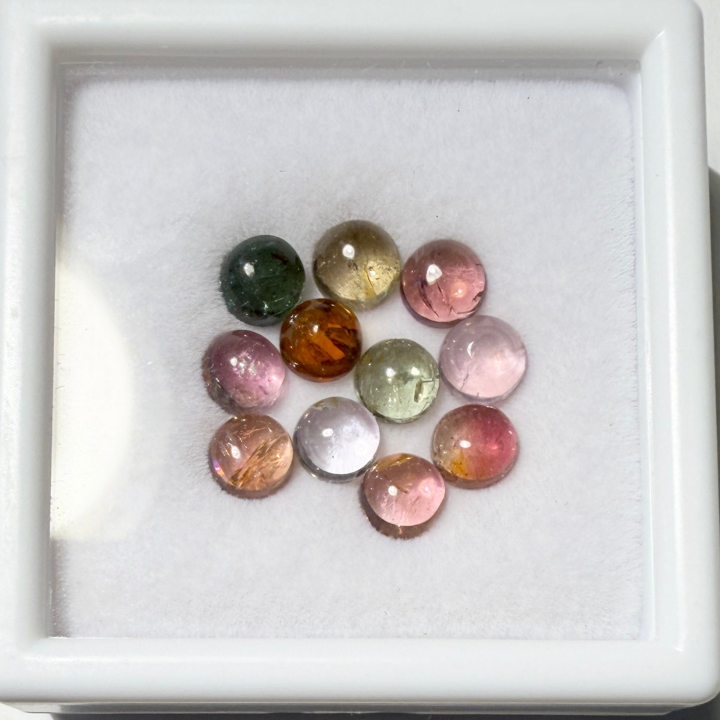 Cabs : Multi-colored Tourmaline, 5mm, petite display box