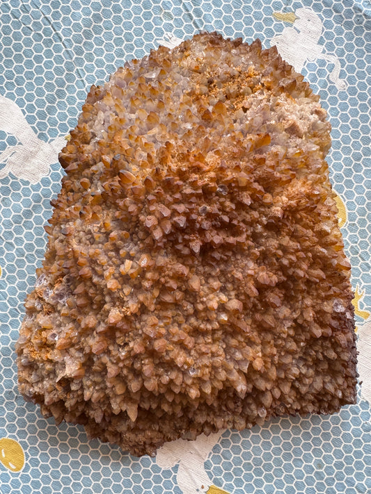 Cluster : Sidarite on Amethyst, ~20 lbs