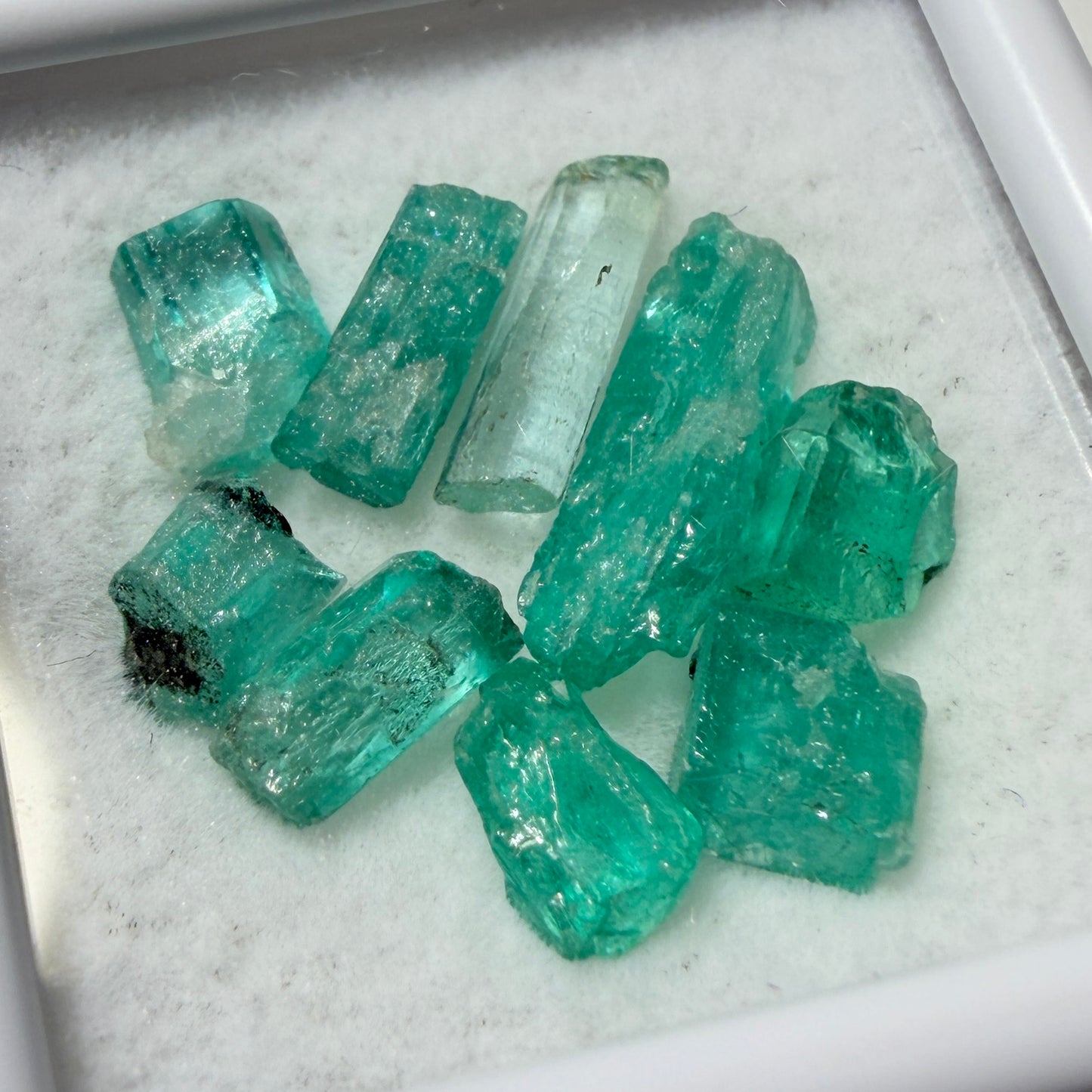 Crystal : Emerald Crystals in Display Box, 9 pieces, Colombia, petite display box