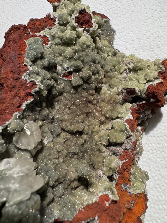 Cluster : Austinite, Druzy, ~2¾"