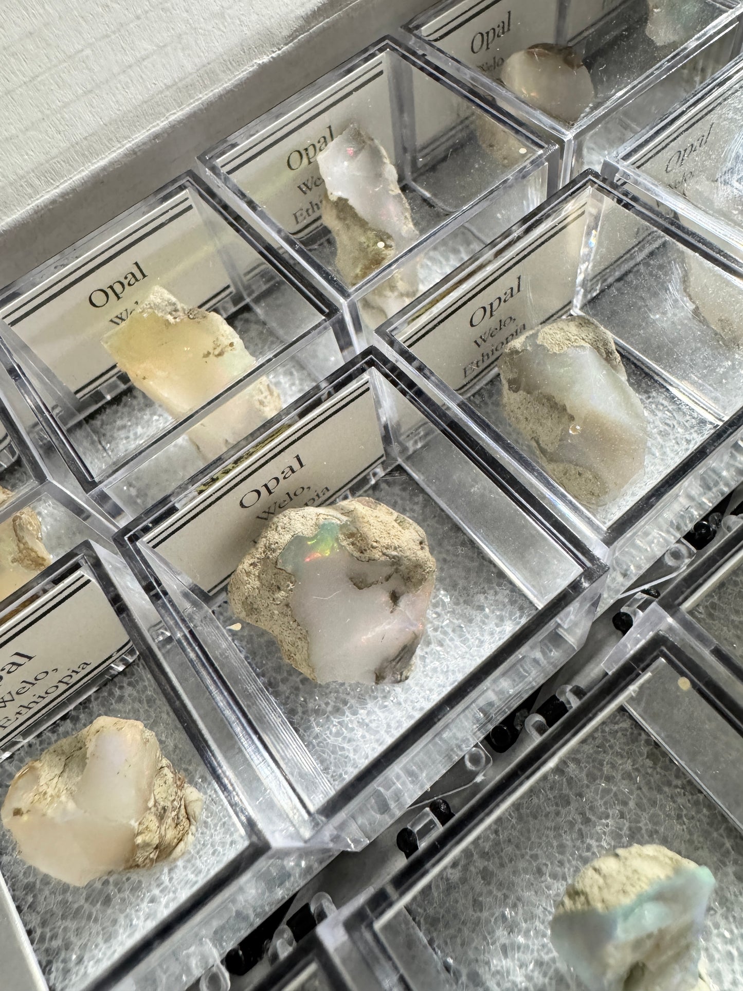 Bulk : Mounted : Welo Opals, Ethiopia, 15 Pieces