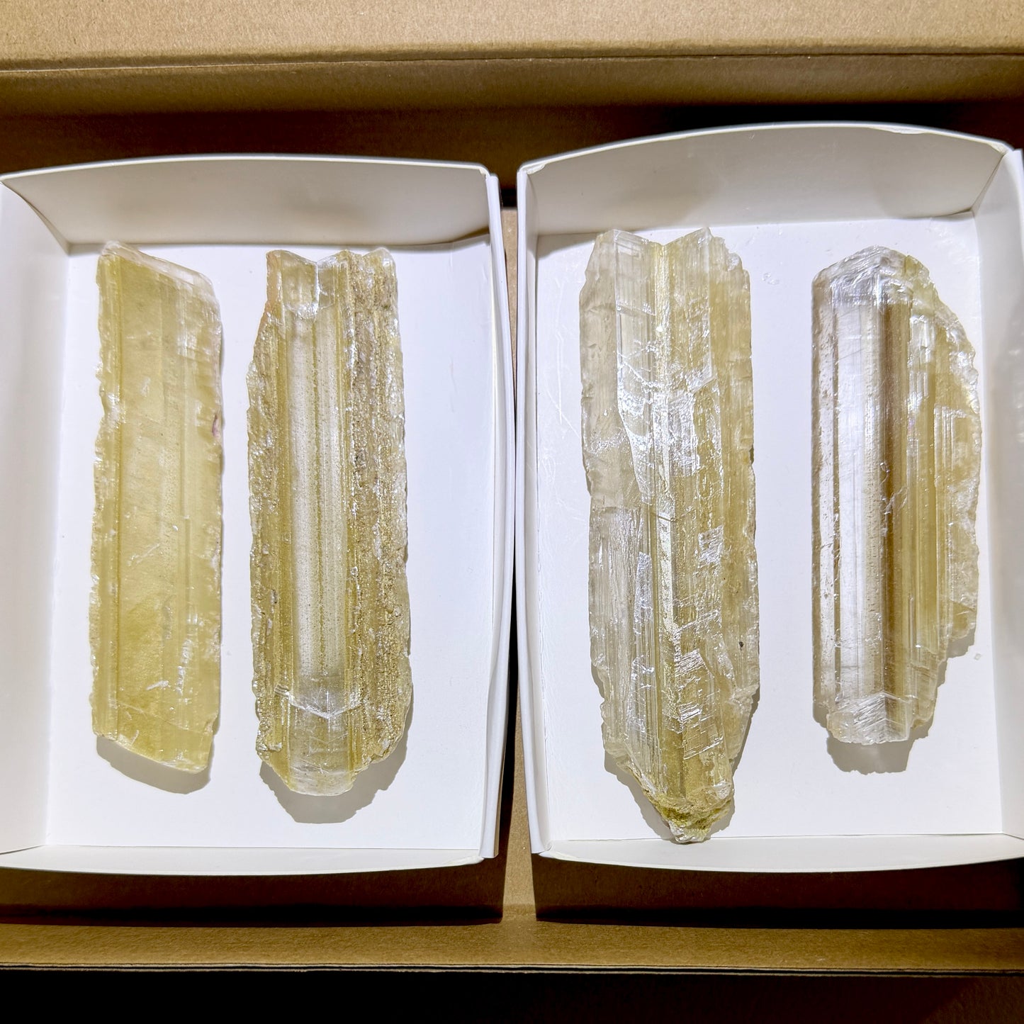 Bulk : 4 piece box of Phantom Selenite Blades