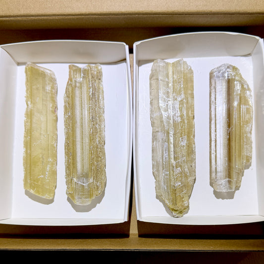 Bulk : 4 piece box of Phantom Selenite Blades