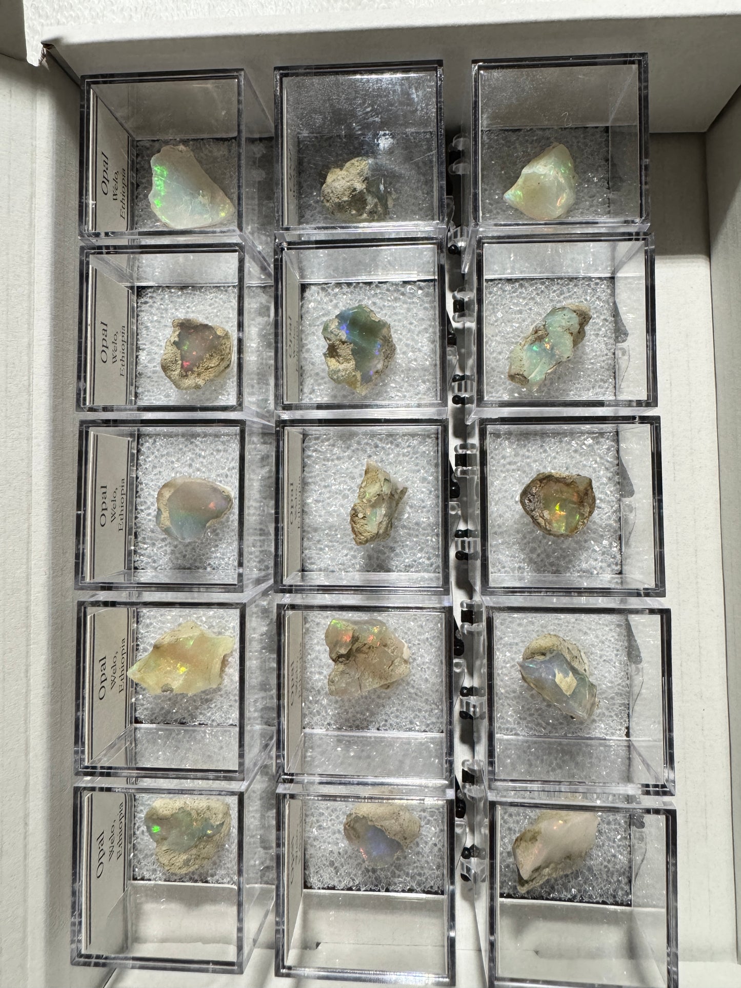 Bulk : Mounted : Welo Opals, Ethiopia, 15 Pieces