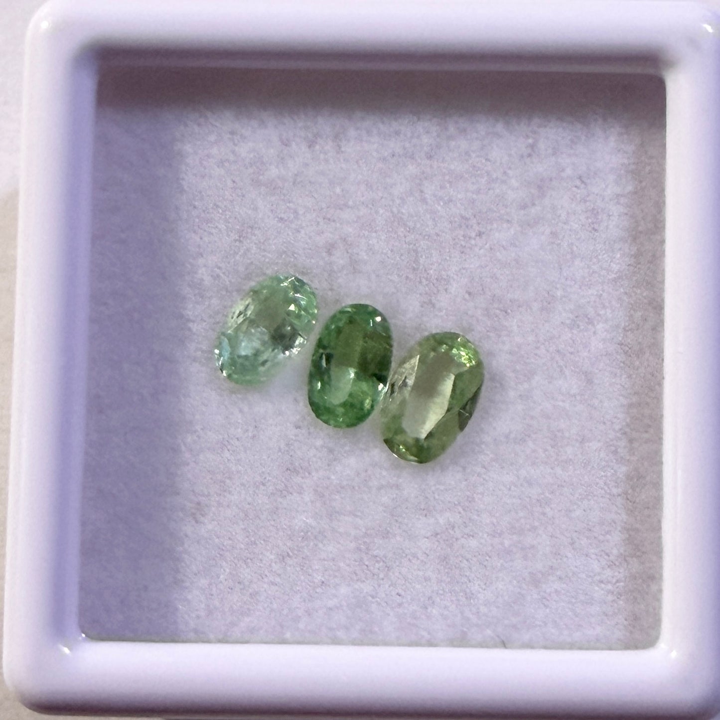 Faceted : Tsavorite Garnets, 3 pieces, petite display box
