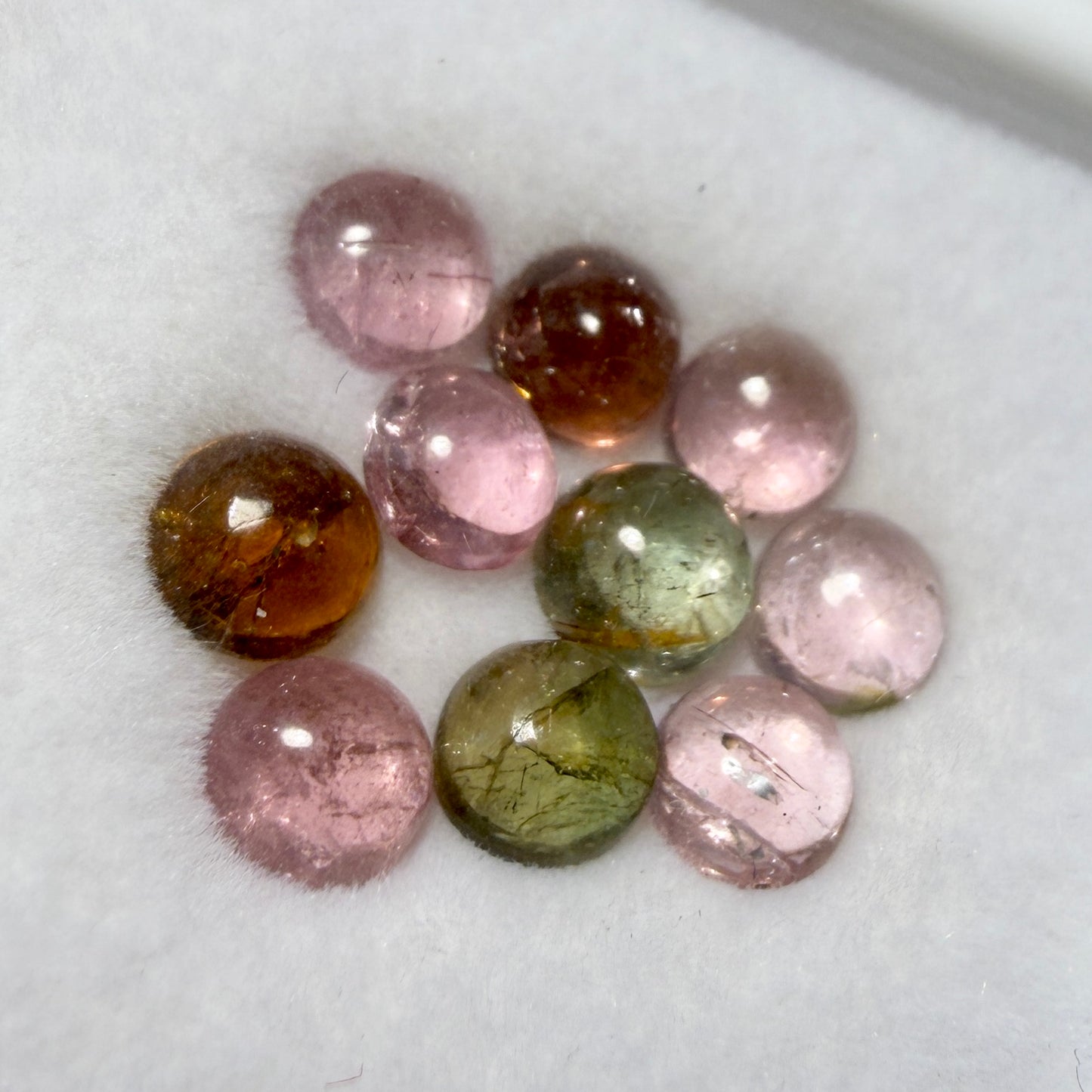 Cabs : Multi-colored Tourmaline, 5mm, petite display box