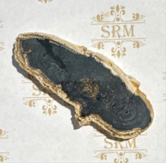 Slice : Petrified Wood, CHOICE